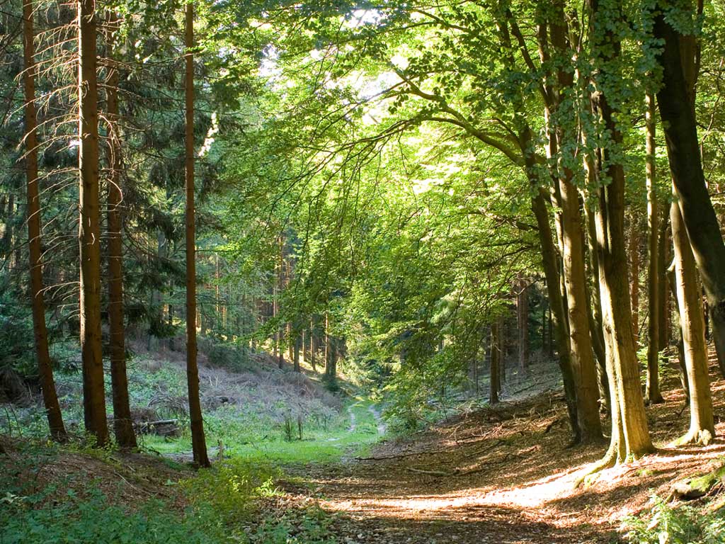 Hermannsberg