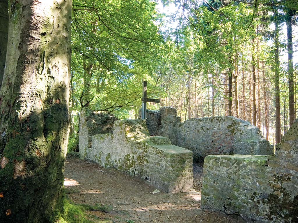 Wallburg am Tönsberg