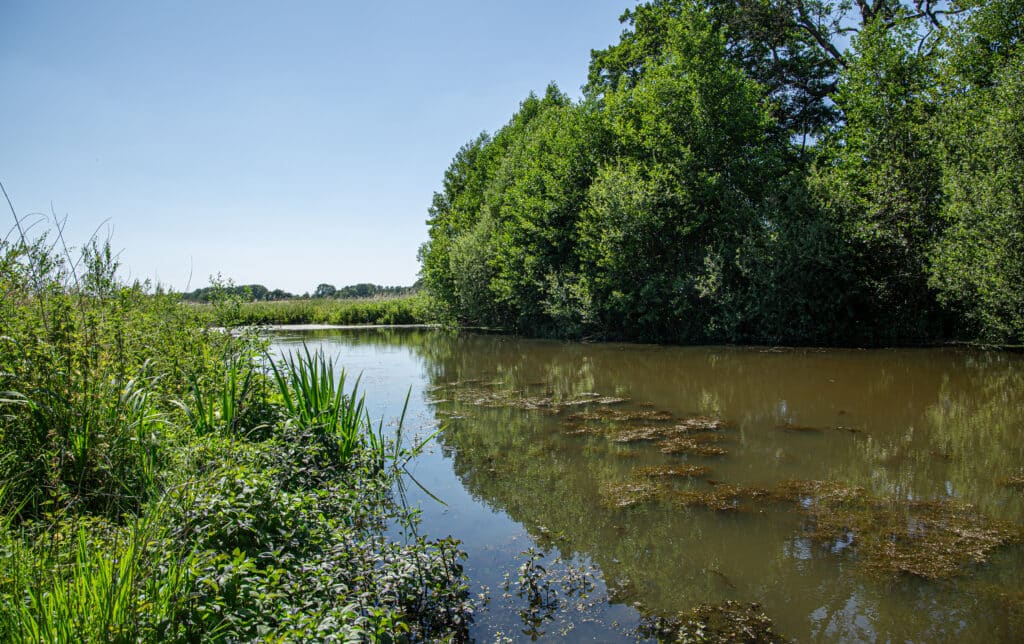 NSG Fleuthkuhlen, betreut vom NABU-Naturschutzzentrum Gelderland
